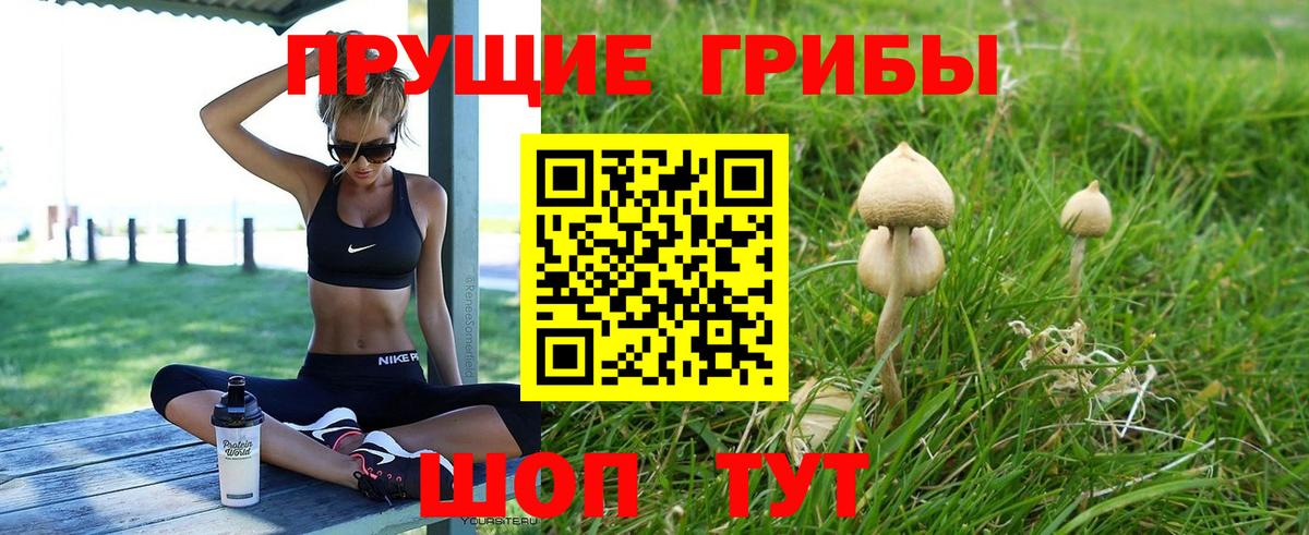Галлюциногенные грибы MAGIC MUSHROOMS Кемерово